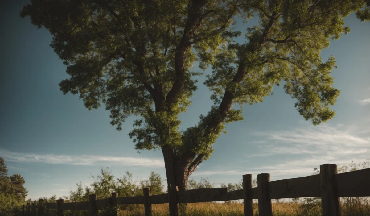 a mostly clear sky over a suburban wooden fence surrounded by greenery.